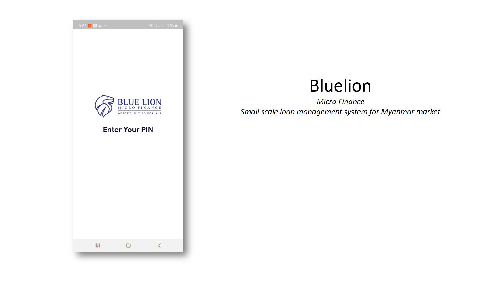 Bluelion — Micro Finance cover