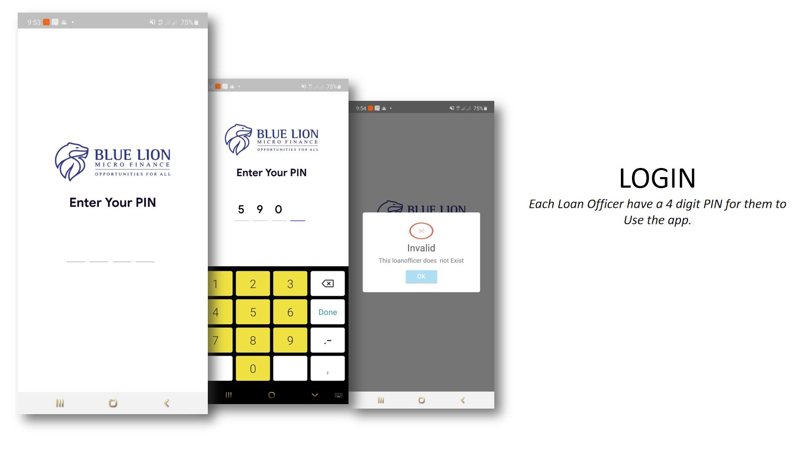 Bluelion — Micro Finance — screen 2